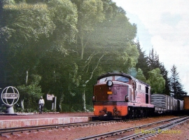 © English Electric Growl / Kevin Patience