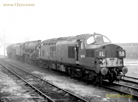English Electric Growl