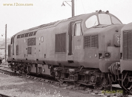 English Electric Growl