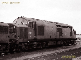 English Electric Growl