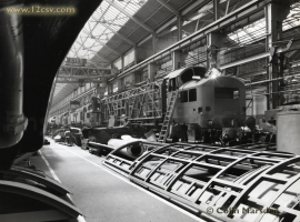 English Electric Growl