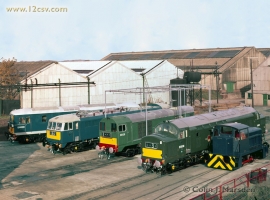 English Electric Growl
