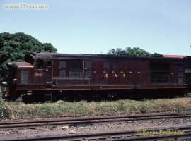 English Electric Growl