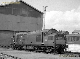English Electric Growl