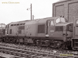 English Electric Growl
