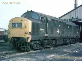 English Electric Growl