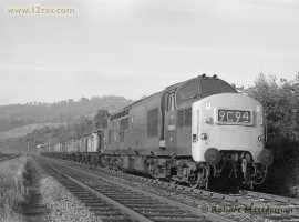 English Electric Growl