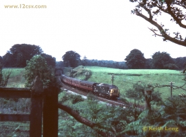 English Electric Growl