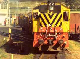 &copy; English Electric Growl&nbsp;/&nbsp;Melanie Dennis