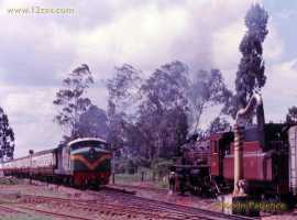 English Electric Growl