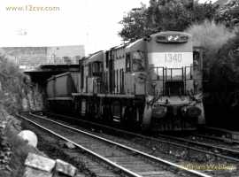 English Electric Growl