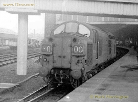 English Electric Growl