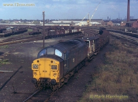 English Electric Growl