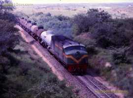 English Electric Growl