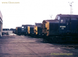 English Electric Growl