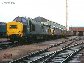 English Electric Growl