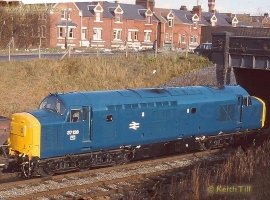 English Electric Growl