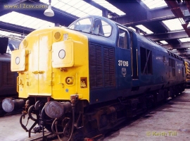 English Electric Growl