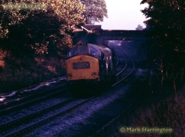 English Electric Growl