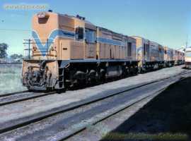 English Electric Growl