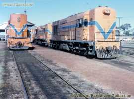 English Electric Growl