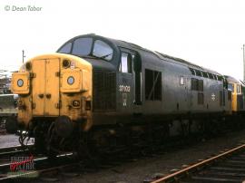 © English Electric Growl / Dean Tabor