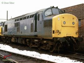 © English Electric Growl / Dean Tabor