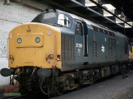 © English Electric Growl / Dean Tabor