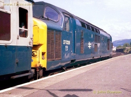English Electric Growl