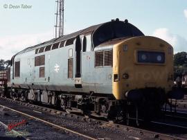 © English Electric Growl / Dean Tabor