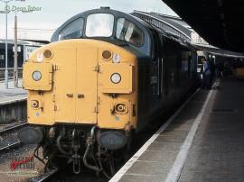 © English Electric Growl / Dean Tabor