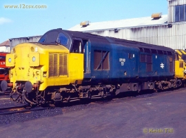 English Electric Growl