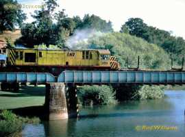 English Electric Growl