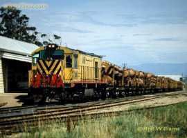 English Electric Growl