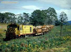 English Electric Growl