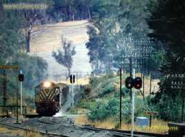 English Electric Growl