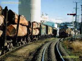 English Electric Growl