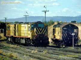 English Electric Growl