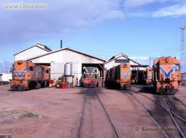 English Electric Growl