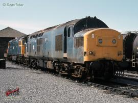 © English Electric Growl / Dean Tabor