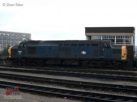 © English Electric Growl / Dean Tabor