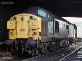 © English Electric Growl / Dean Tabor