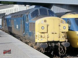 © English Electric Growl / Dean Tabor