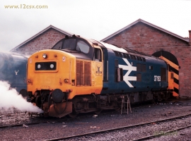 English Electric Growl