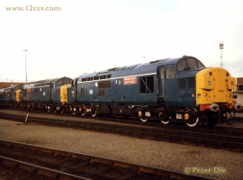 © English Electric Growl / Peter Dix