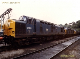 English Electric Growl