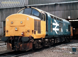 © English Electric Growl / Ron H