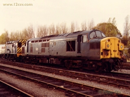 &copy; English Electric Growl&nbsp;/&nbsp;Peter Dix