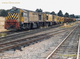 English Electric Growl