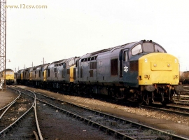 English Electric Growl